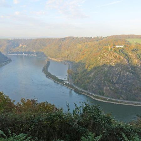 Roosartige Ferien - Ferienwohnung Am Weiherturm Bacharach Luaran gambar