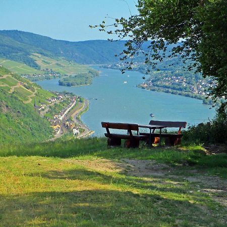 Roosartige Ferien - Ferienwohnung Am Weiherturm Bacharach Luaran gambar