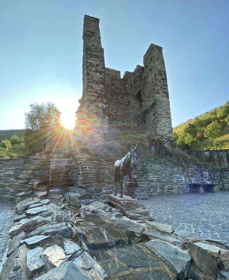 Roosartige Ferien - Ferienwohnung Am Weiherturm Bacharach Luaran gambar