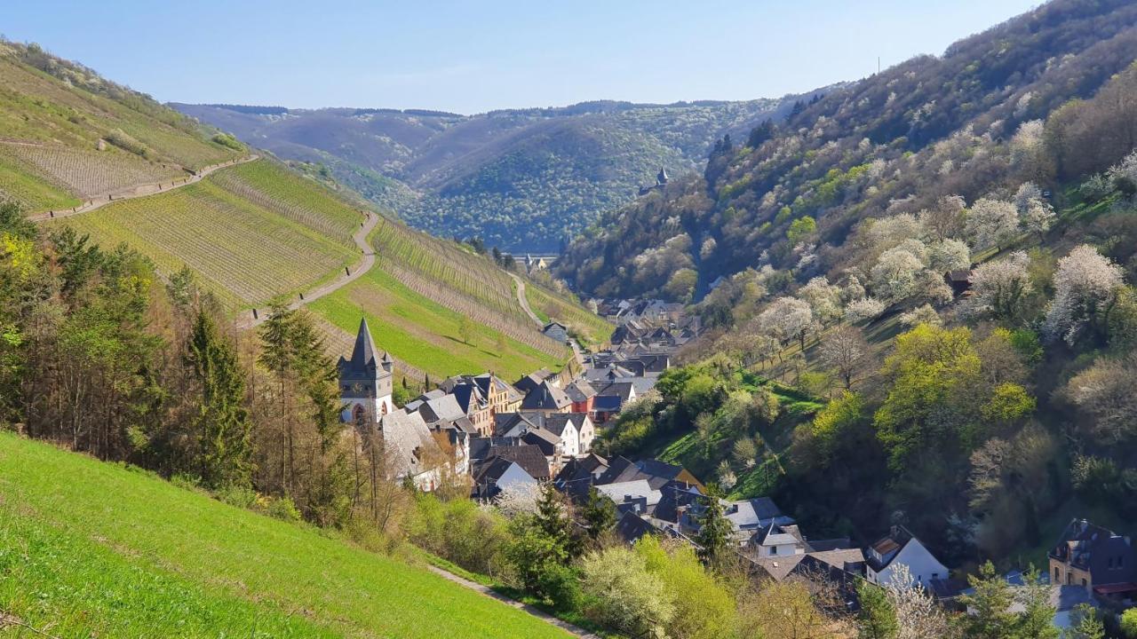 Roosartige Ferien - Ferienwohnung Am Weiherturm Bacharach Luaran gambar