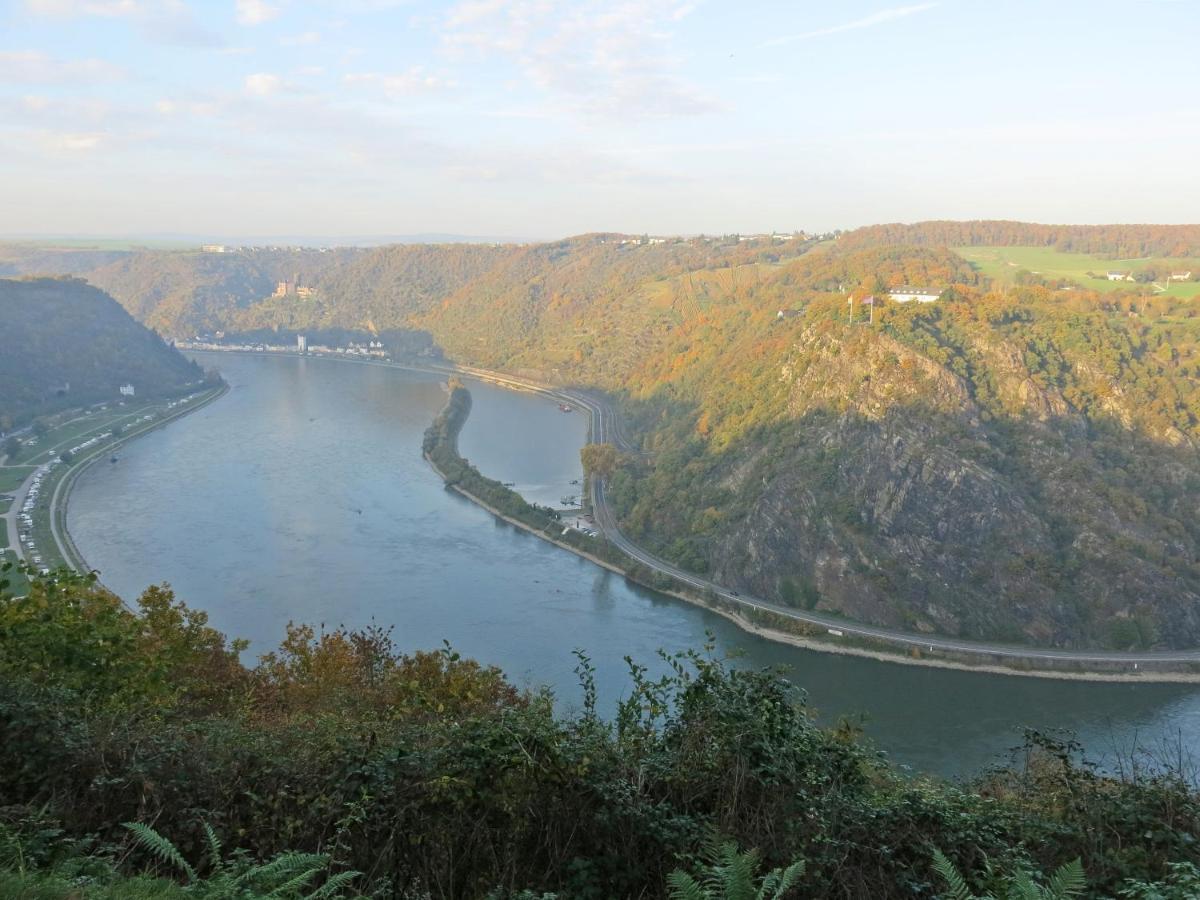 Roosartige Ferien - Ferienwohnung Am Weiherturm Bacharach Luaran gambar