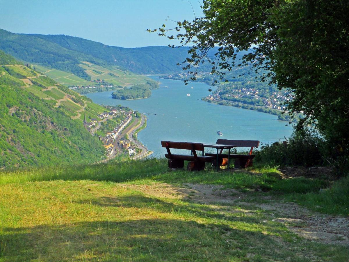 Roosartige Ferien - Ferienwohnung Am Weiherturm Bacharach Luaran gambar